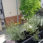 Przytulna I Przestrzenna Garsoniera- Centrum